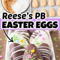 Reese's Peanut Butter Eggs Pin