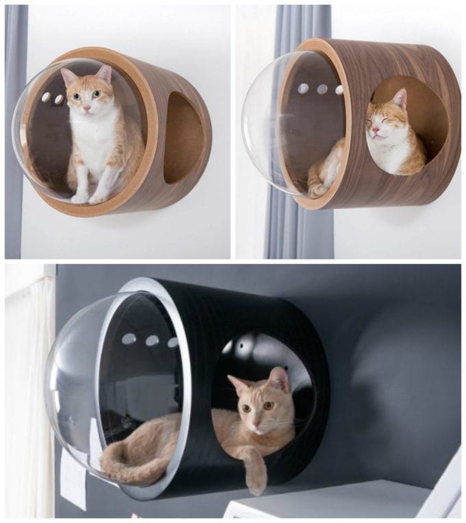 Bubble Wall Cat Bed