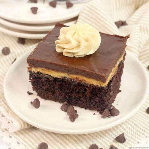 chocolate peanut butter texas sheet cake on a white plate