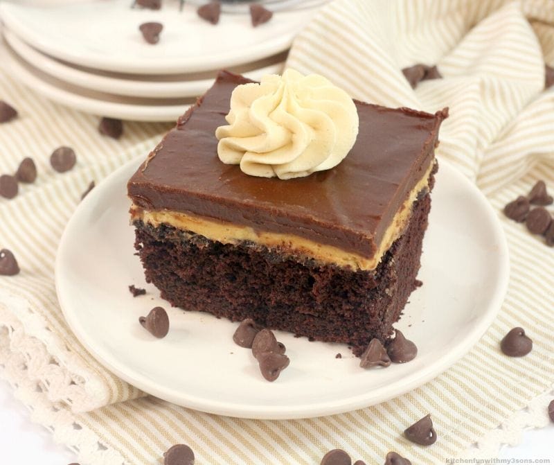 chocolate peanut butter texas sheet cake on a white plate
