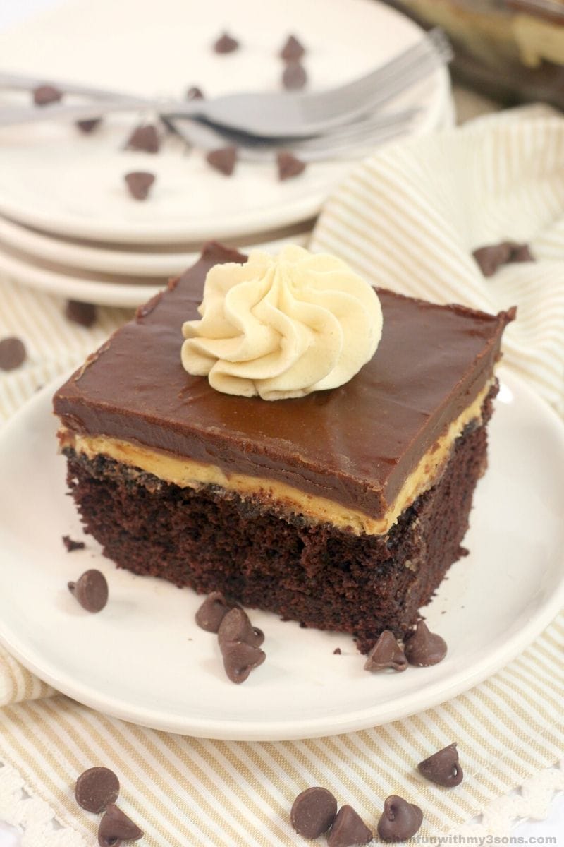 chocolate peanut butter cake on a white plate