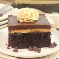 Chocolate Peanut Butter Texas Sheet Cake