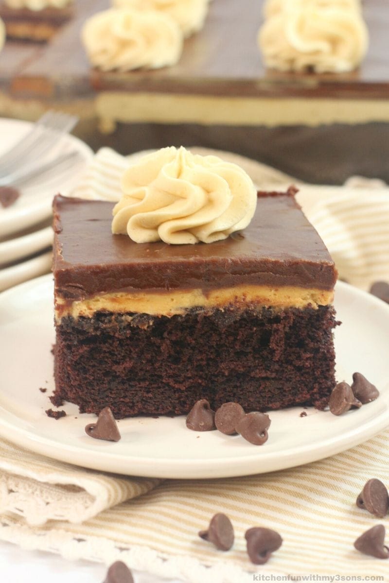chocolate peanut butter texas sheet cake on a white plate