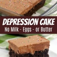 Wacky Cake - No Milk, Eggs or Butter!