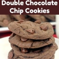 Soft and Chewy Double Chocolate Chip Cookies