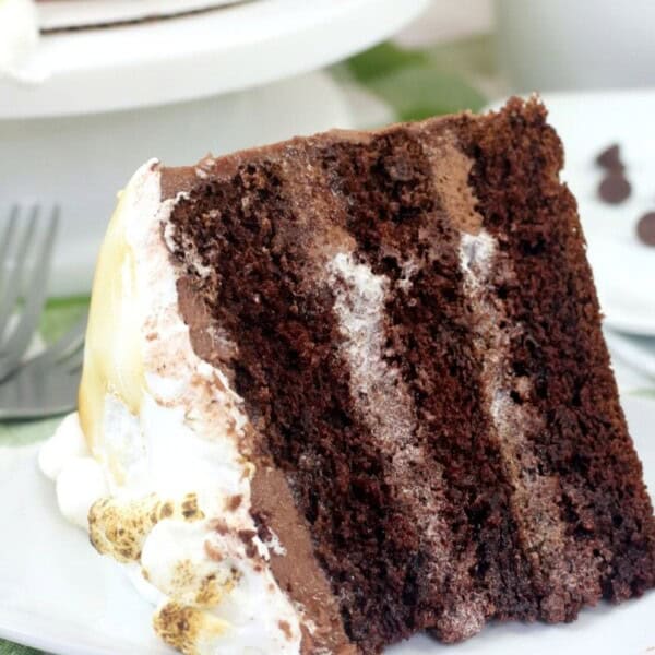 hot chocolate cake on a plate