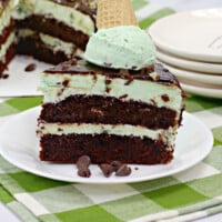 Mint Chocolate Chip Cake Feature
