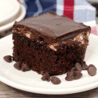 Best Ever Mississippi Mud Cake Recipe