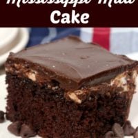 Best Ever Mississippi Mud Cake