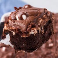 Mississippi Mud Cake feature