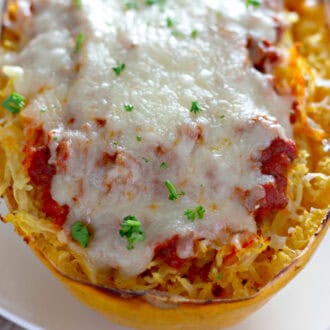 Spaghetti Squash feature