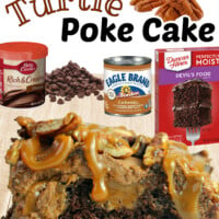 Turtle Poke Cake