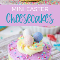 Mini Easter Cheesecakes are the tastiest and most adorable Easter treat. Not only do they look so beautiful and even a bit fancy, they're actually simple to make.