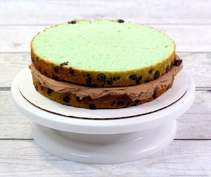 2 layers of mint chocolate chip cake
