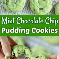 Mint Chocolate Chip Pudding Cookies
