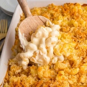 White Mac and Cheese feature