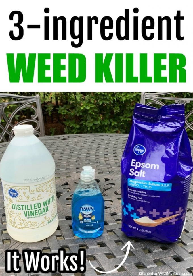 Featured image of post Steps to Prepare Salt And Vinegar Recipe For Killing Weeds