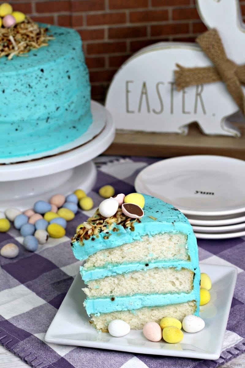 Robin Egg Homemade Layer Cake