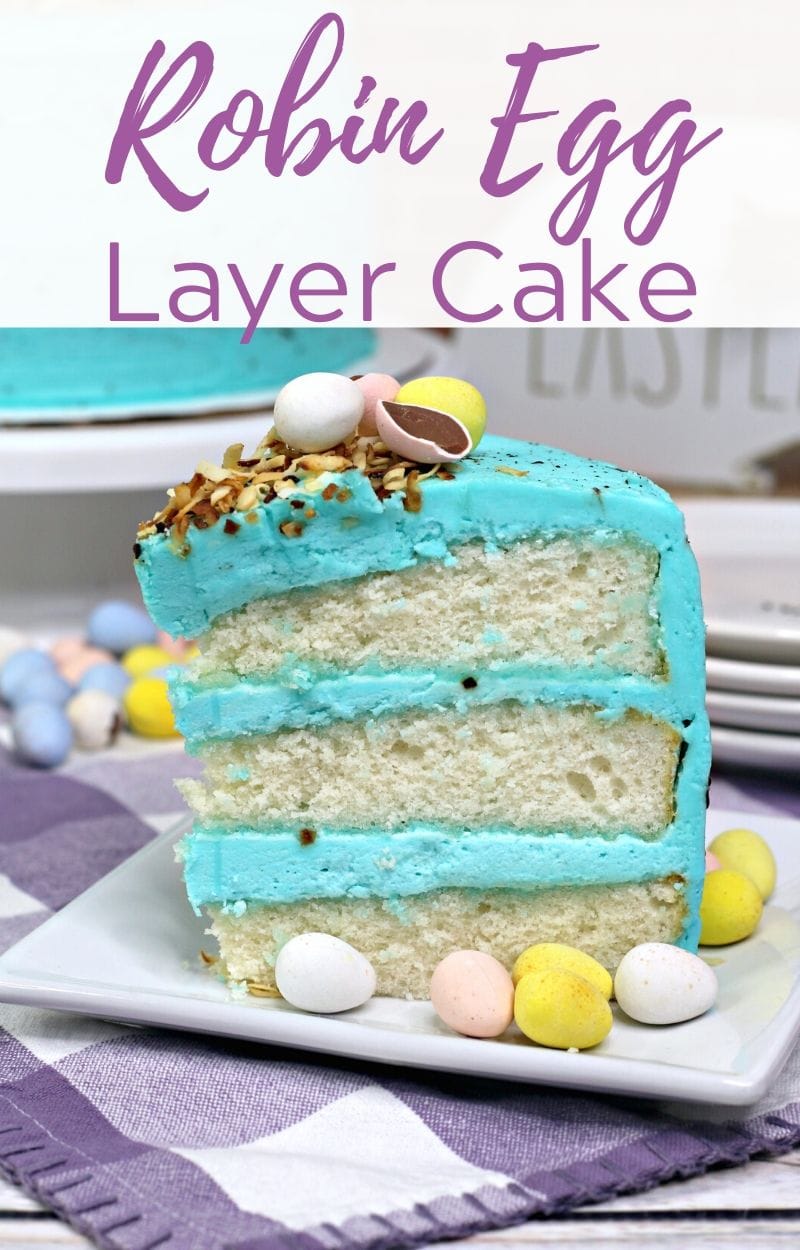 Robin Egg Homemade Layer Cake