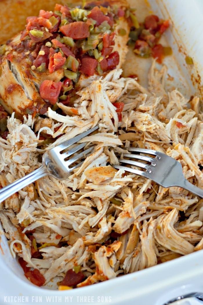Slow-cooked chicken being shredded up with two metal forks
