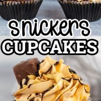 Snickers Cupcakes with caramel frosting and Snickers bars on top.