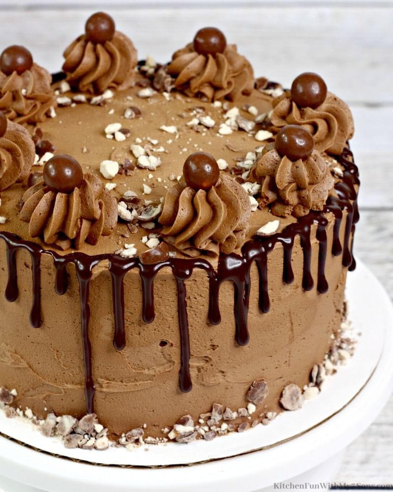 chocolate cake with whoppers on top