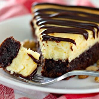 Brownie Bottom Cheesecake feature