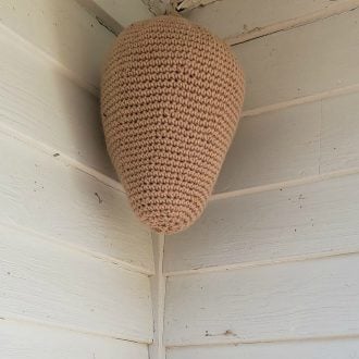 Crochet Nest
