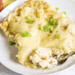 Green Chile Chicken Enchiladas feature