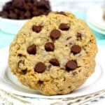 Rocky Mountain Cookies feature