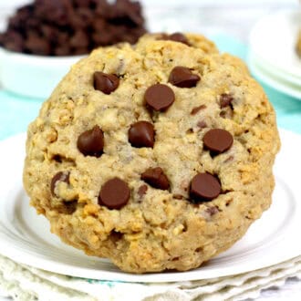 Rocky Mountain Cookies feature