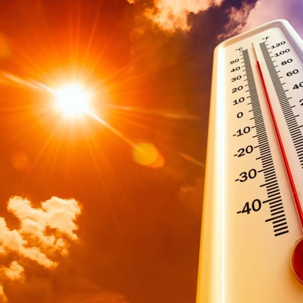 This Summer might be One of the Hottest on Record