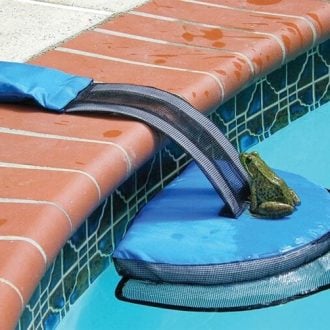 Pool Ramp that Saves Animals from Drowning