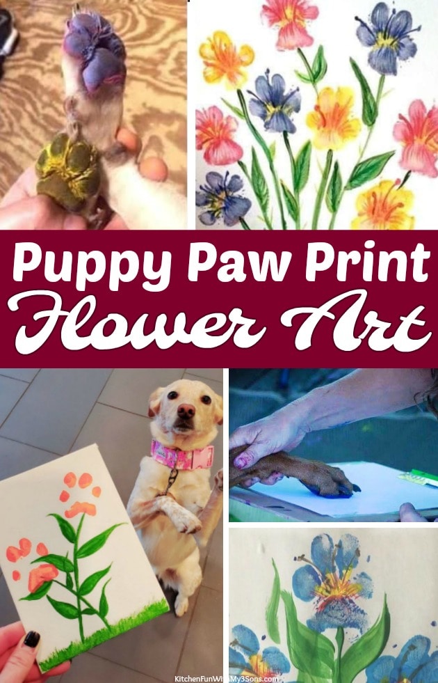 Dog Paw Print Art