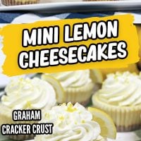 Mini Lemon Cheesecake is a cute little treat to make for anyone who loves the sweet and tangy flavors of lemon. Top it off with whipped cream and a fresh lemon.