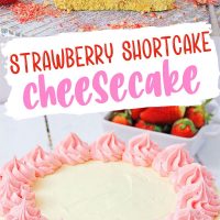 Strawberry shortcake cheesecake with graham cracker crust and two layers of cheesecake.