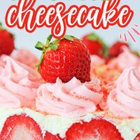 Strawberry Shortcake Cheesecake is a scrumptious no-bake dessert with layers of cheesecake and fresh strawberries on a graham cracker crust.