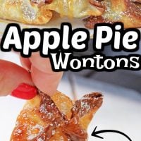 Apple Pie Wontons