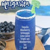 Frozen Blueberry Margarita