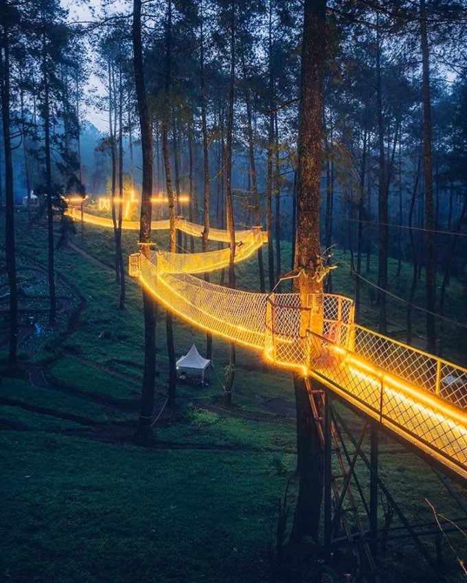 Tennessee’s Treetop Skywalk