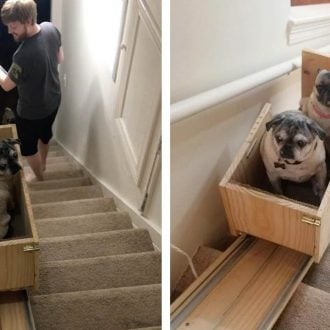 Stairlift for Dogs