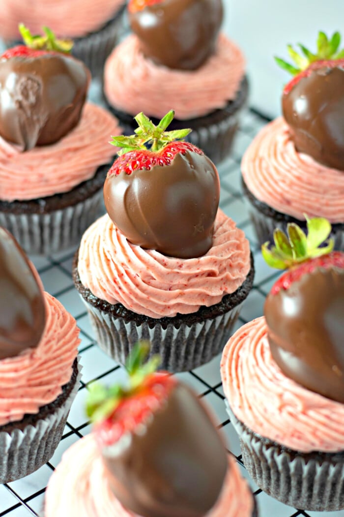 Chocolate covered strawberry cupcakes on a cooling rack