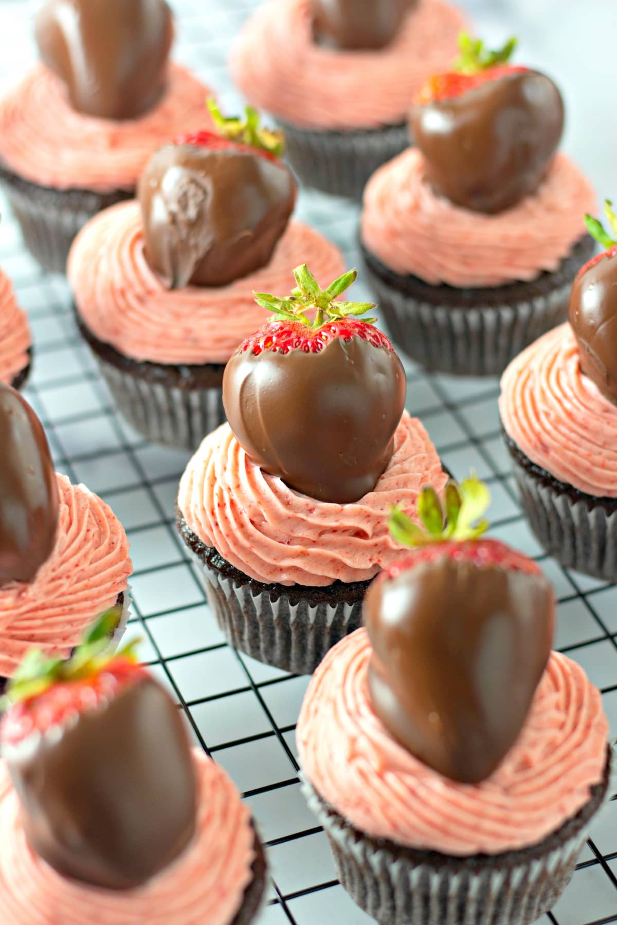 Chocolate covered strawberry cupcakes on a cooling rack