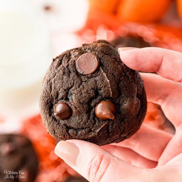 Close up of a hand holding up a double chocolate pumpkin cookie.