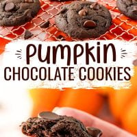 Pinterest title image for Double Chocolate Pumpkin Cookies.