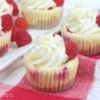 Lemon Raspberry Mini Cheesecake