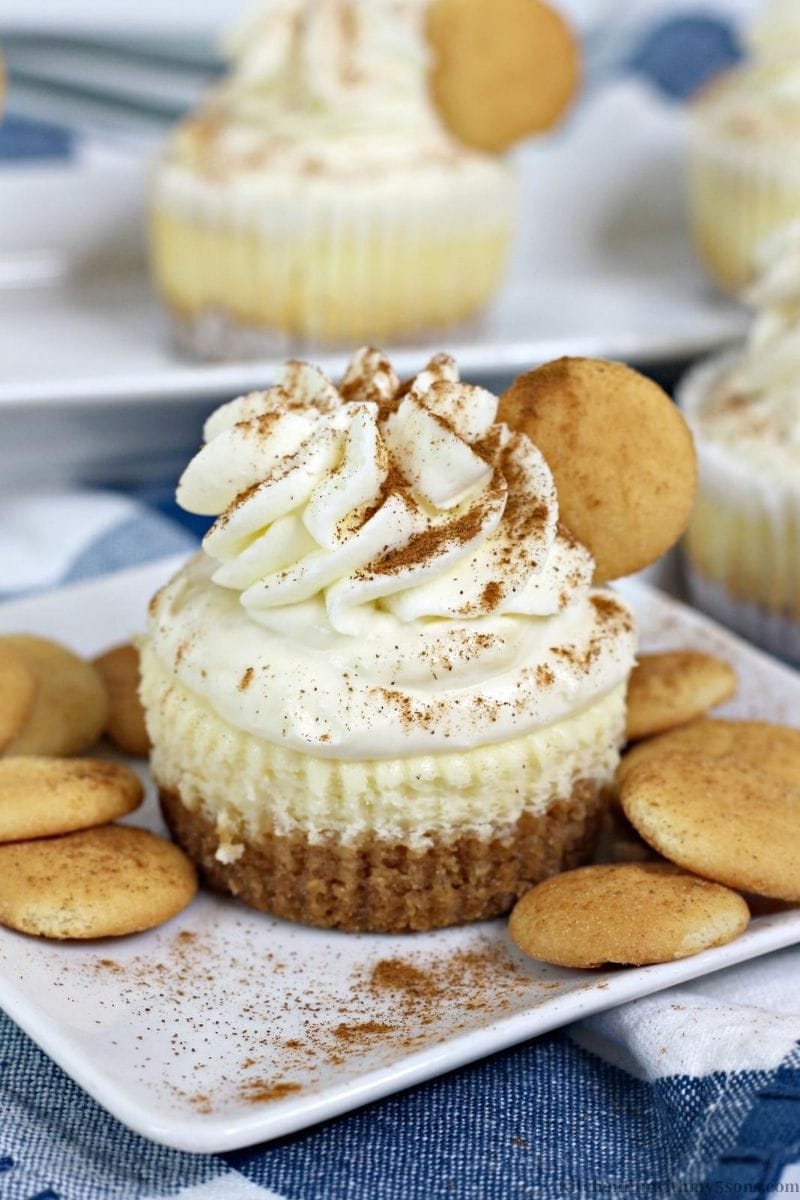 A mini banana pudding cheesecake with whipped cream, cinnamon, and a vanilla wafer garnish.