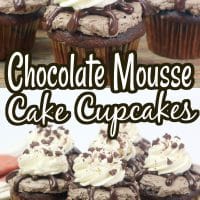 chocolate mousse cake cupcakes