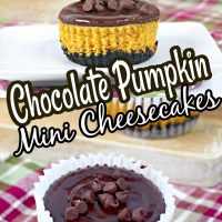 Mini Chocolate Pumpkin Cheesecakes