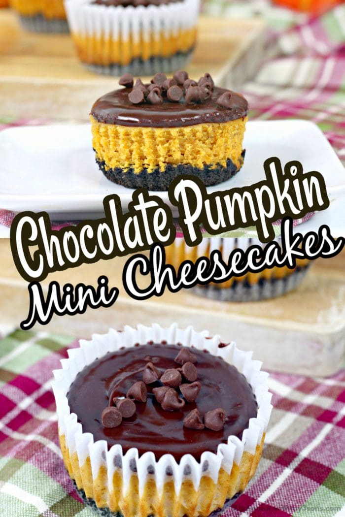Mini Chocolate Pumpkin Cheesecake